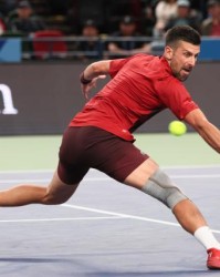 yl23455永利官网-张奔斗：高能量人士德约科维奇的平衡之道